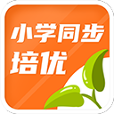乒超聯賽男團焦點戰 樊振東3比0戰勝林詩棟